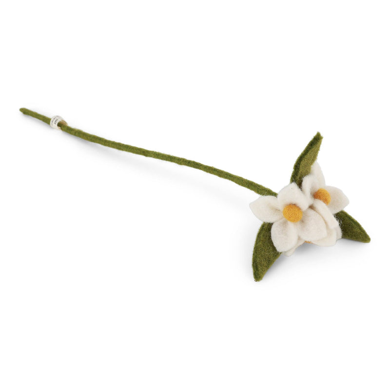 gry & sif white flowers on branch