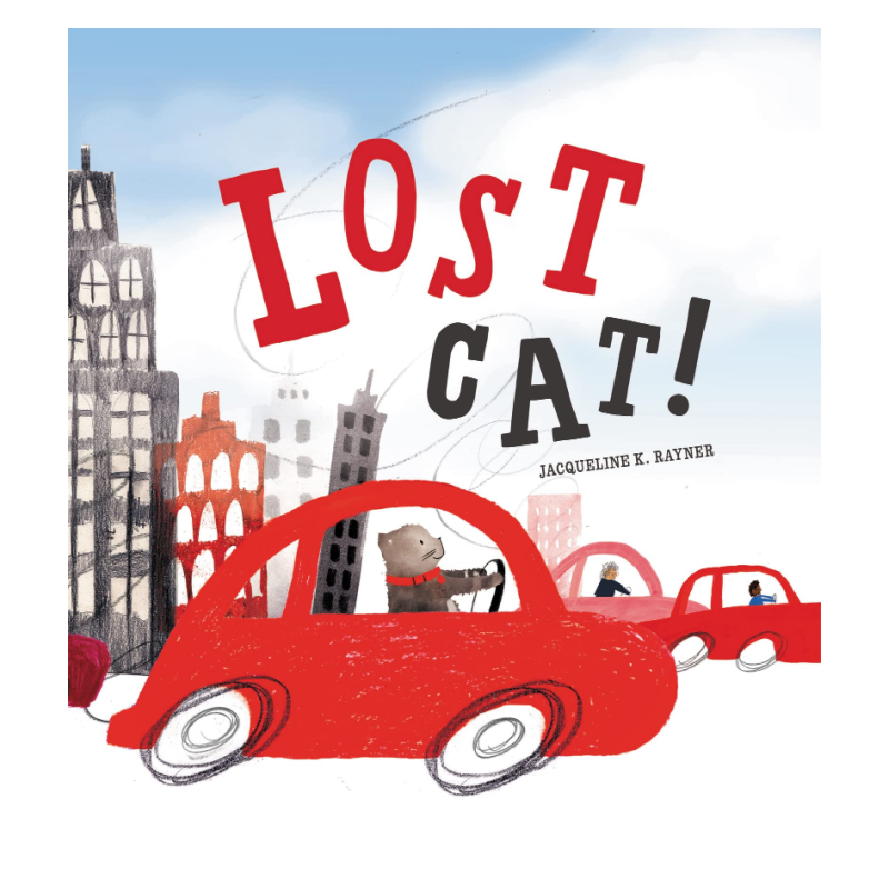 lost cat!