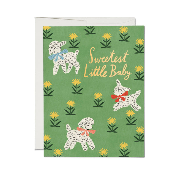 little lamb greeting card