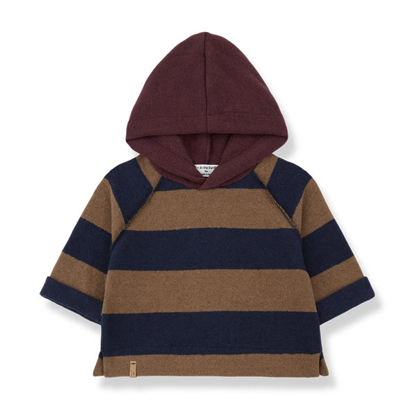1+ in the family jakob baby hooded sweater castagna