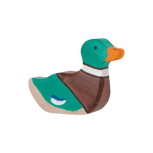 holztiger mallard duck
