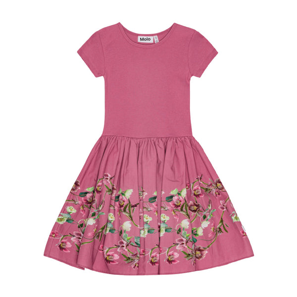 molo cissa dress wavy roses