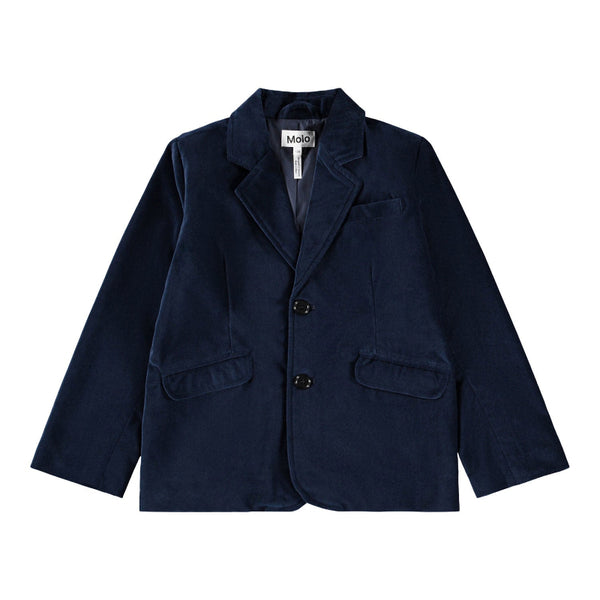 Navy blue blazer with two buttons