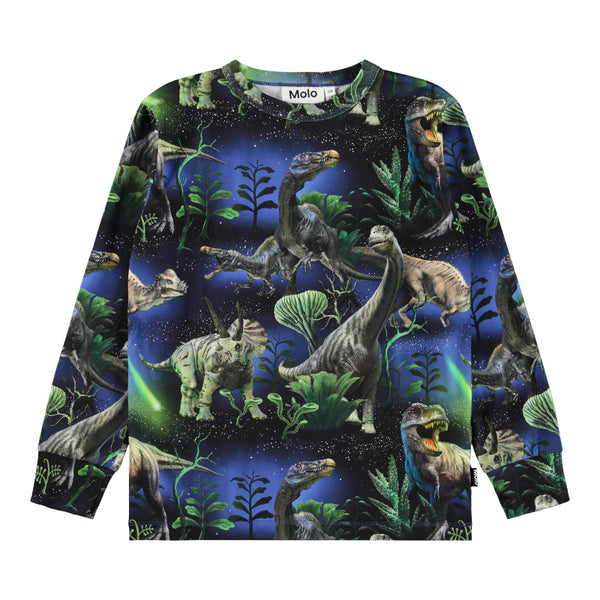molo rill long sleeve t-shirt dinorama