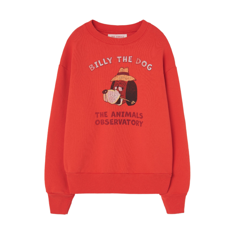 the animals observatory bear sweatshirt red billy