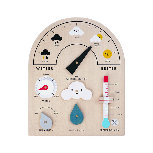 moon picnic weather station