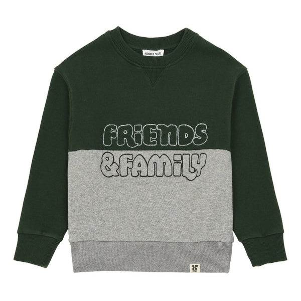 hundred pieces friends & family sweatshirt green/grey, kids pullover tops, color block