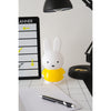 atelier pierre miffy coin bank 