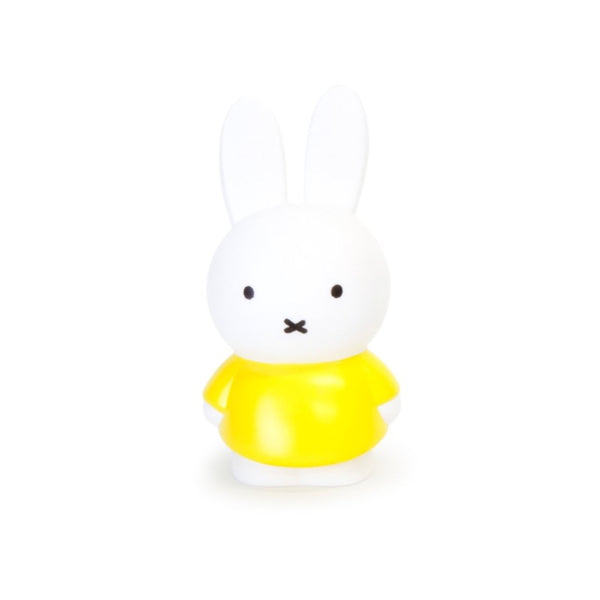 atelier pierre miffy coin bank