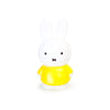 atelier pierre miffy coin bank 