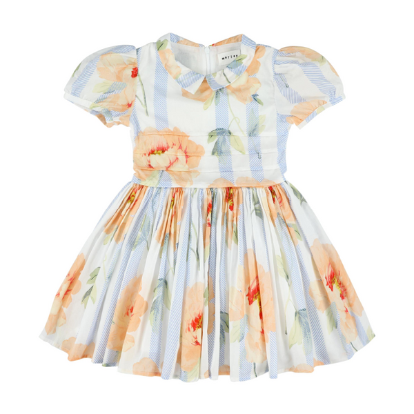 morley suri dress nectarine