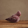 coral & tusk cardinal of hope