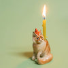maine coon cat cake topper