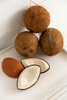 oli & carol coco the coconut