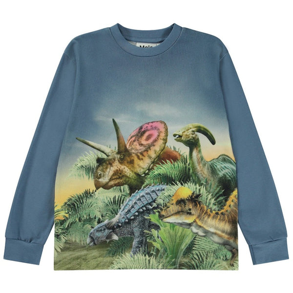 front of the molo rexton t-shirt in dino friends