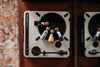 the jazz cats peg doll set