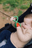 oli & carol watermelon rattle toy