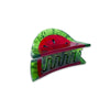 watermelon hair claw clip
