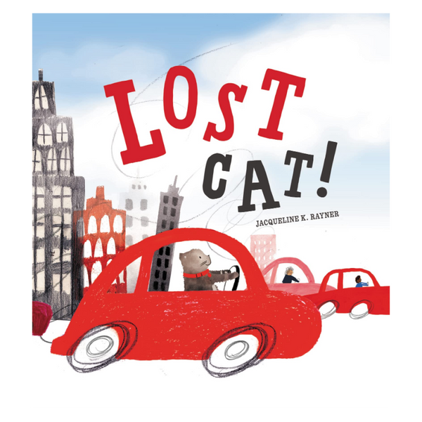 lost cat!