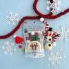 build a snowman mini playdough set