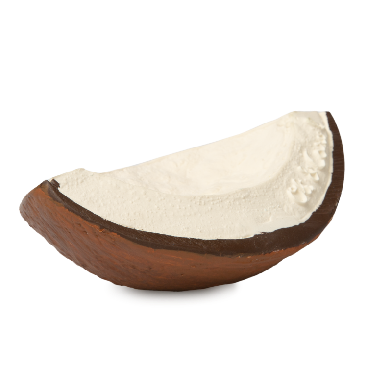 oli & carol coco the coconut