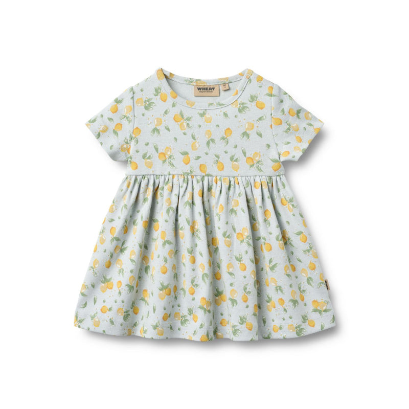 wheat nova baby dress summer blue citrus