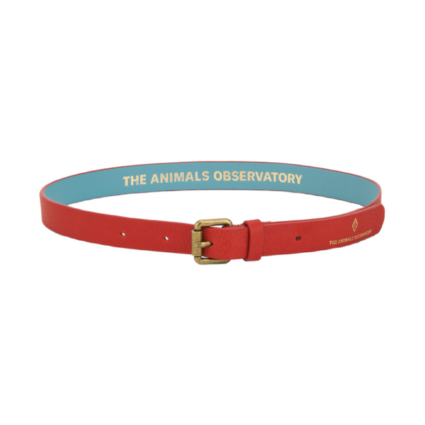 the animals observatory ibis kids belt red