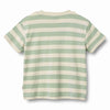 wheat liam t-shirt mint stripe