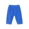 arsene & les pipelettes fine corduroy baby cobalt blue