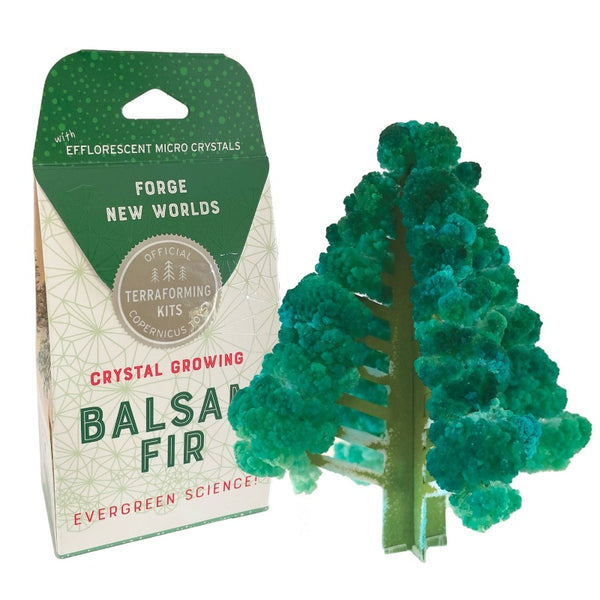 copernicus toys crystal growing balsam tree