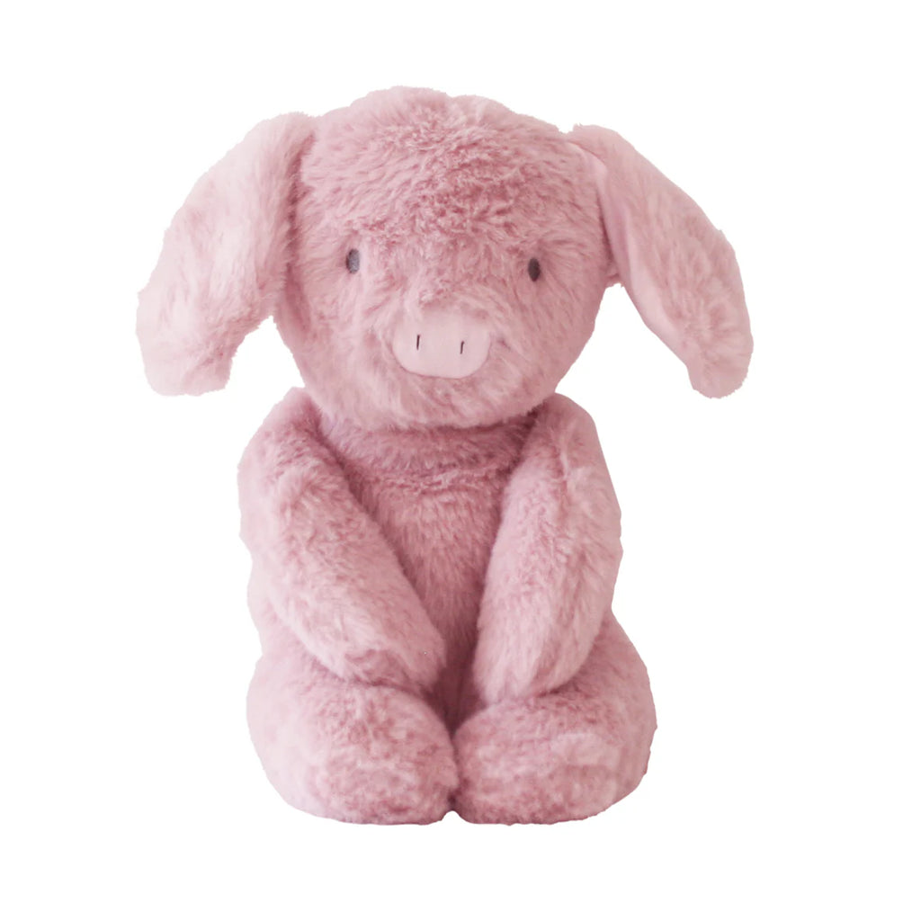 alimrose plush piggy toy