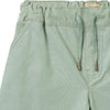 wheat bendix shorts mint