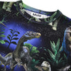 Children's t-shirt with dinosaur design and Molo branding