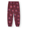the animals observatory dromedary kid sweatpants stars