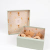 Teddy bear in a decorative box with teddy bear patterned interior
