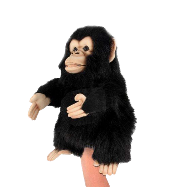 hansa chimp puppet