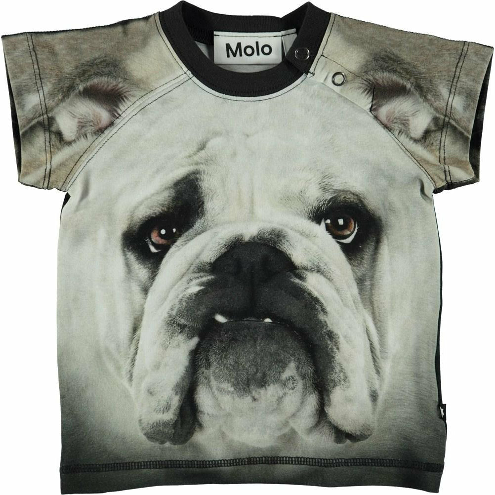 molo egon baby tee shirt black and white bulldog - kodomo boston, new spring summer molo collection, fun baby tee shirts.