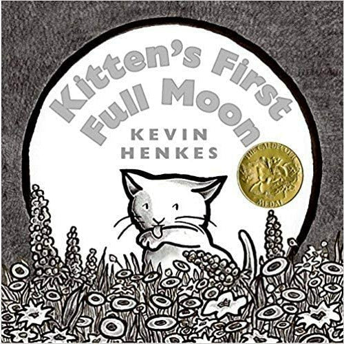 kitten's first full moon