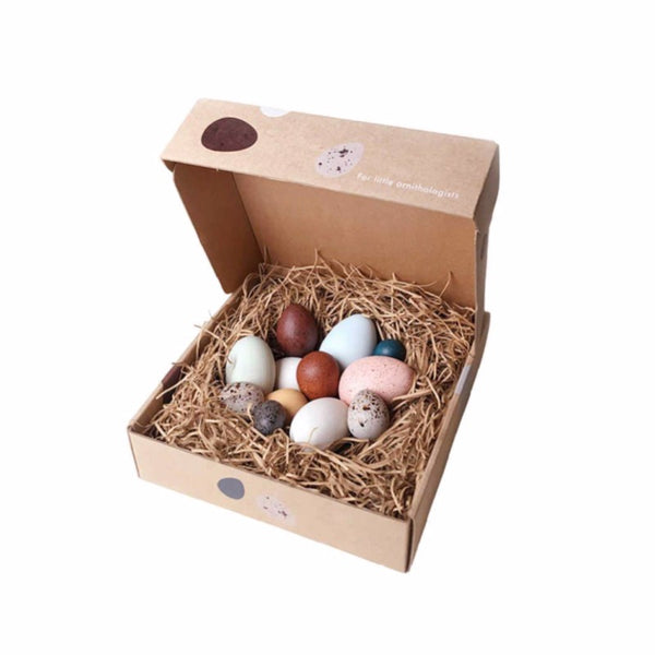 moon picnic dozen toy eggs perfect for easter