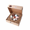 moon picnic dozen toy eggs perfect for easter