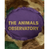 the animals observatory starfish hat green