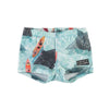 molo nansen swim trunks hawaiian ocean