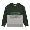 hundred pieces friends & family sweatshirt green/grey, kids pullover tops, color block