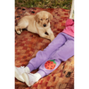 mini rodini strawberries emb sweatpants purple